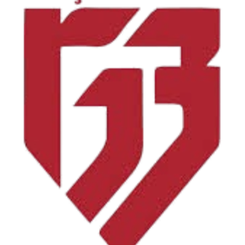 根克勒比尔利吉女篮logo