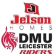 莱切斯特骑士logo